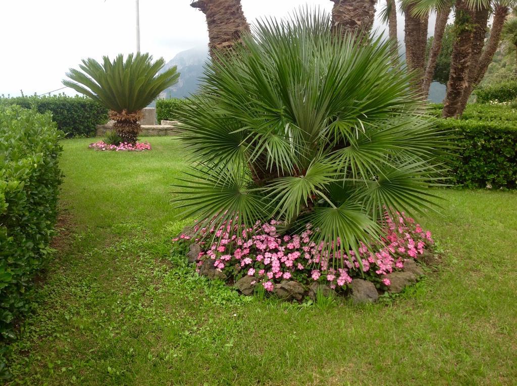 Villa Minuta Скала Екстериор снимка